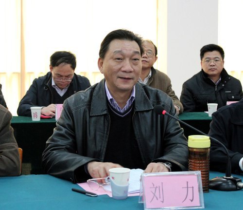 劉力書記率隊到貴港職業學院實地考察