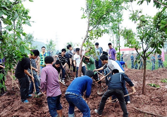 重慶大學(xué)城市科技學(xué)院在“六個一”大學(xué)生社會實(shí)踐工作中喜獲殊榮