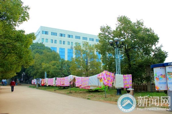 三月里的第一抹陽光暖心窩