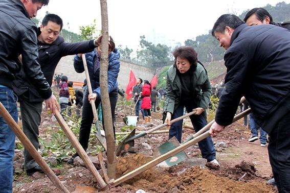 推進(jìn)綠色校園建設(shè) 植樹節(jié)師生共植新綠