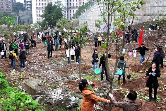 推進(jìn)綠色校園建設(shè) 植樹節(jié)師生共植新綠