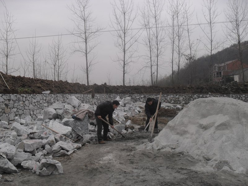 ���A�W(xu��)Ժ�����f�������(du��)���ƴ��ݓQ���