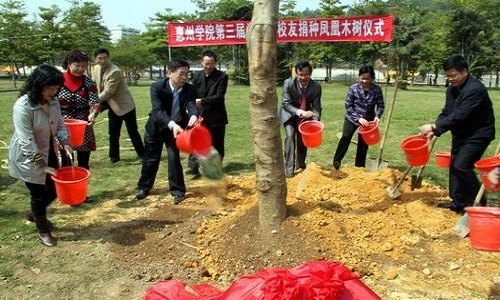 惠陽師專第三屆學生會主席團成員回校開展植樹活動