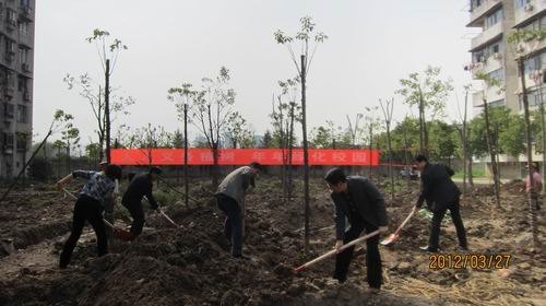 人人義務(wù)植樹 年年綠化校園