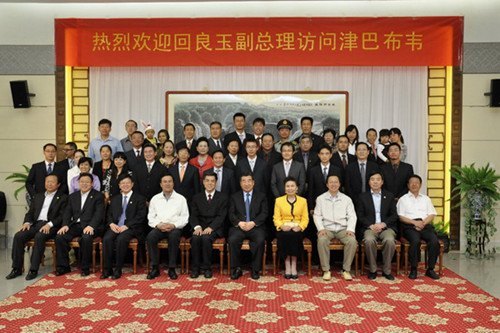 國務院副總理回良玉親切接見援津醫療隊代表