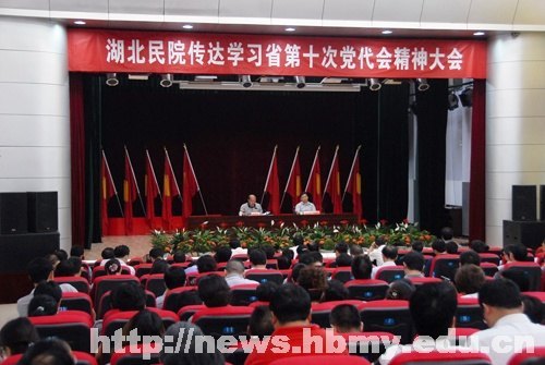 胡茂成傳達湖北省第十次黨代會精神