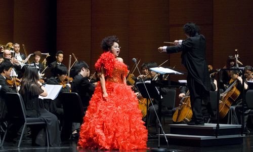 惠州學院交響樂團在保利劇院演出大獲成功