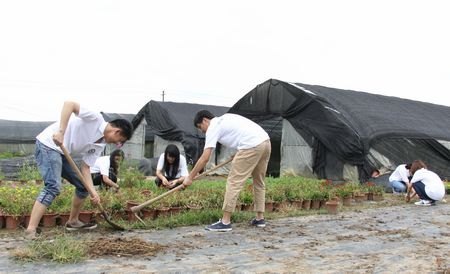 綠色長征34:貴陽實踐團開展綠色支農