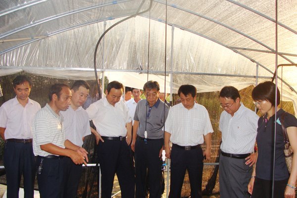 國家林業局科技司胡章翠一行蒞臨皖西學院考察調研