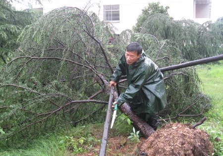服務中心災后忙自救最大限度減損失