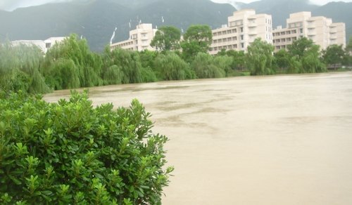 學校緊急部署防臺后續工作