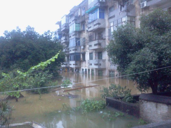 陶研所:暴雨無(wú)情人有情  抗險(xiǎn)救災(zāi)譜愛(ài)心