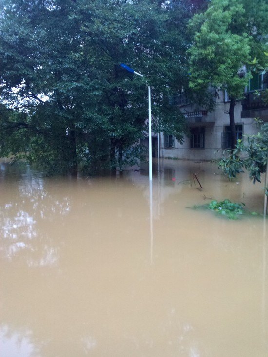 陶研所:暴雨無(wú)情人有情  抗險(xiǎn)救災(zāi)譜愛(ài)心