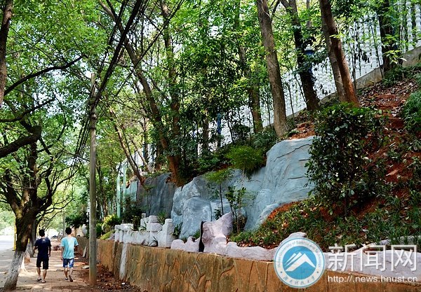 新學期,科大“新新”向榮