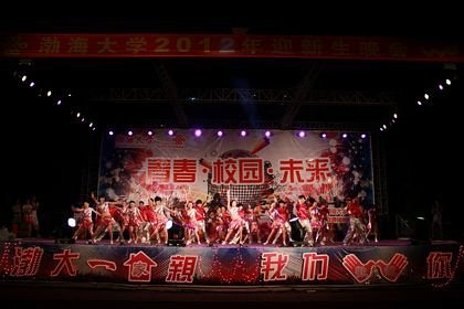 迎新晚會(huì)笑語歡歌美麗煙花綻放夜空