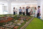 團中央學校部副部長杜匯良一行來鄭州大學調研指導團學工作