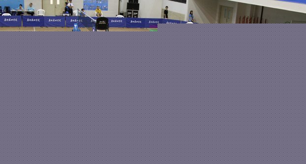 中央美術(shù)學(xué)院羽毛球代表隊參加“2012年中國美術(shù)院校羽毛球比賽”獲佳績