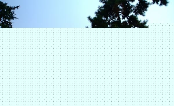 南藝美術(shù)館館標(biāo)征集媒體發(fā)布會(huì)召開