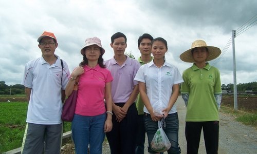 【豐湖黨旗紅】生命科學系組織教工深入基層開展科技務農活動