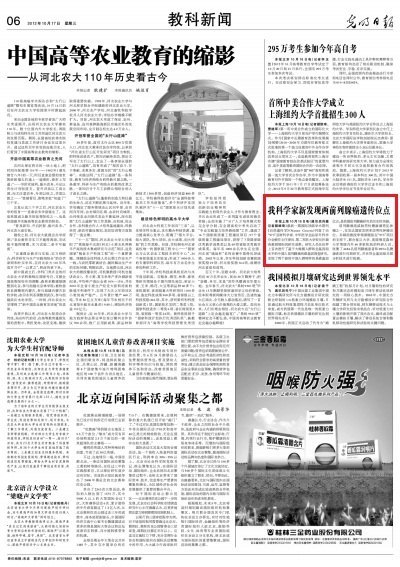 《光明日報》:我科學家新發現兩前列腺癌遺傳位點