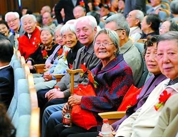 [ЇW]|AWMǜܰ 206̎Dc@ʯ飨D