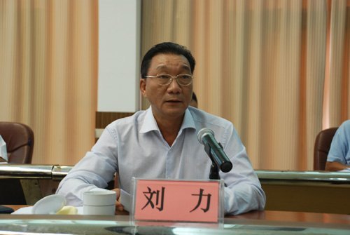 劉力書記、鄧艷葵副院長率隊赴田東縣參加自治區(qū)扶貧開發(fā)工作座談會并深入對口扶貧點調研