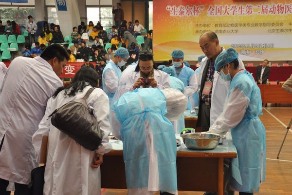 吉林農業科技學院學生榮獲全國大學生第二屆動醫專業技能大賽特等獎吉林農業科技學院學生榮獲全國大學生第二屆動醫專業技能大賽特等獎