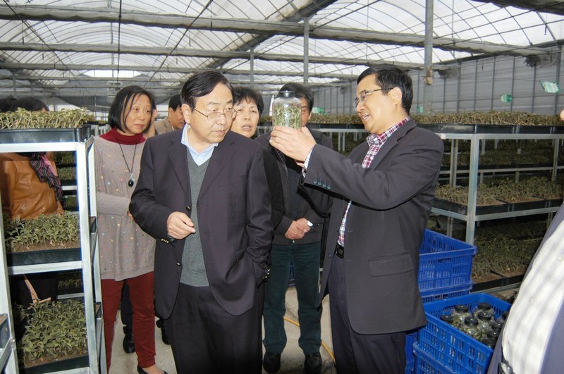 臺州市政府決策咨詢委綜合經(jīng)濟組全體會議在臺州科技職業(yè)學院召開