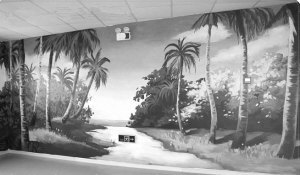 中國江蘇網:南藝創業團隊畫成南京歷史上最大外墻壁畫