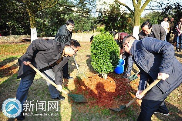 黃楊初植,愛心假期精神在勃發