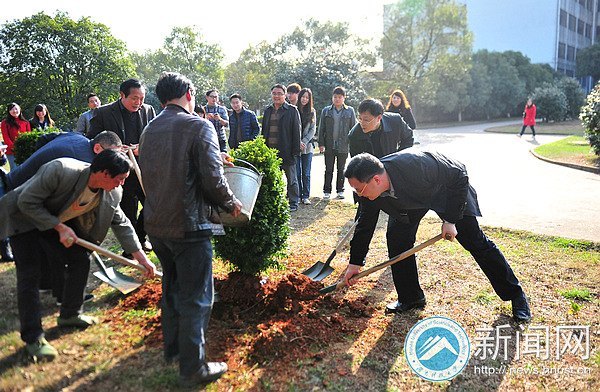 黃楊初植,愛心假期精神在勃發