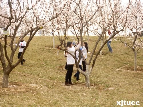 ͨWЌWԺ־Ը߅f־ԸoGm