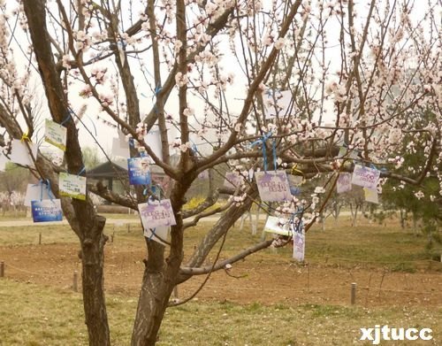 ͨWЌWԺ־Ը߅f־ԸoGm