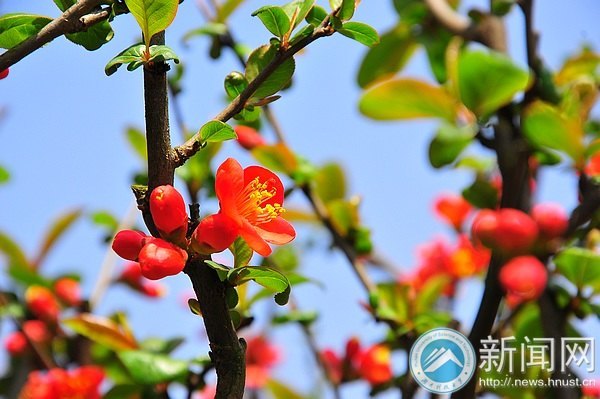 一起走進春天里