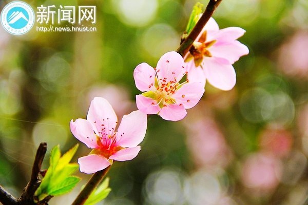 一起走進春天里