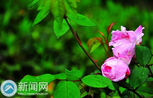 一起走進春天里