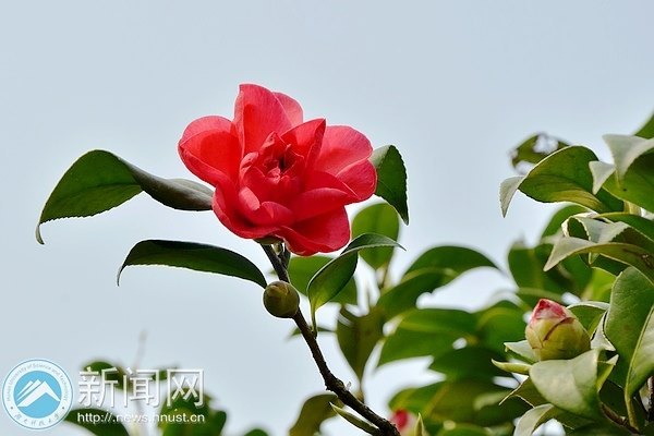 一起走進春天里