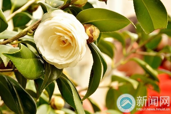 一起走進春天里