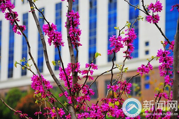 一起走進春天里