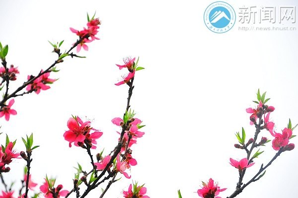 一起走進春天里