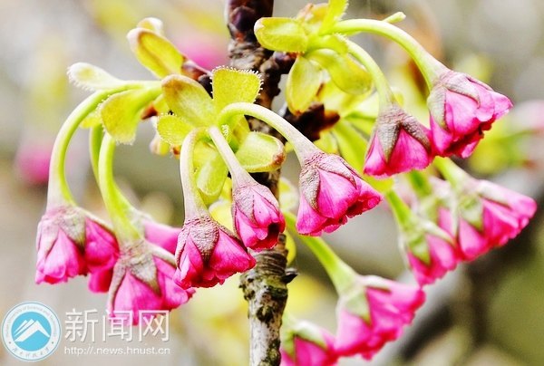 一起走進春天里