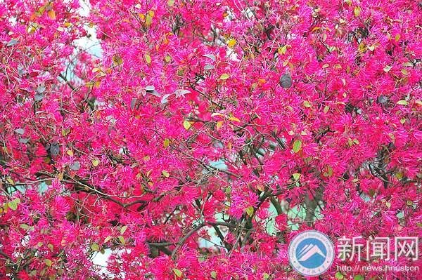 一起走進春天里