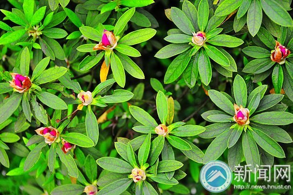 一起走進春天里