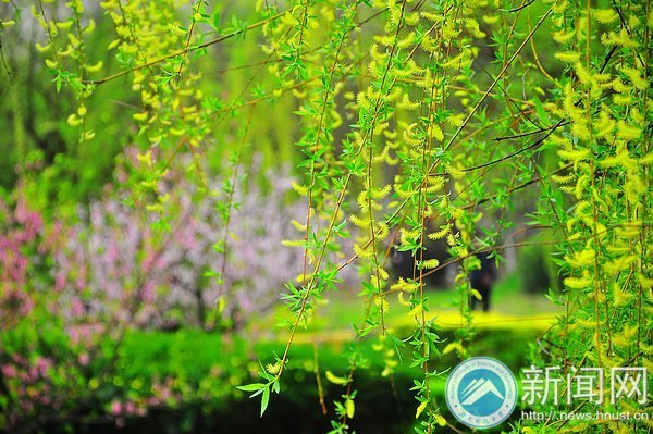 一起走進春天里