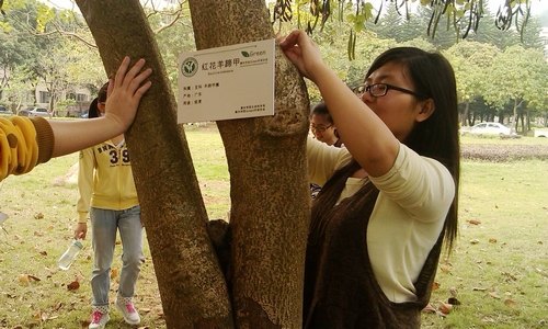 珍愛綠色   親近自然  校園植物有了“身份證”