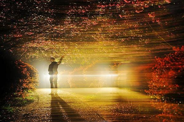 【影像視界】第四期:游園驚夢