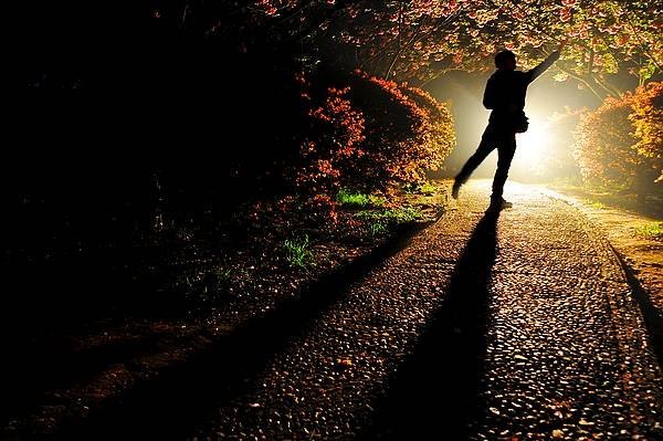 【影像視界】第四期:游園驚夢