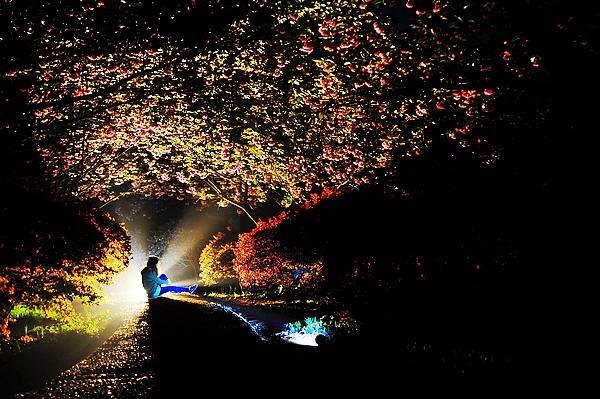 【影像視界】第四期:游園驚夢