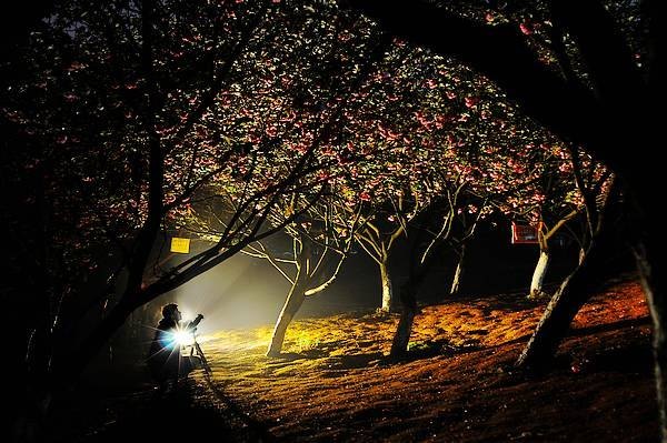 【影像視界】第四期:游園驚夢