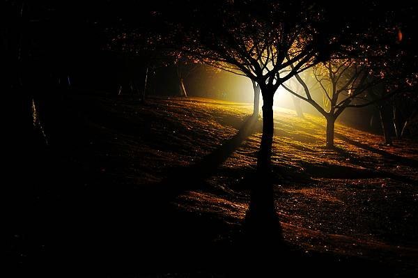 【影像視界】第四期:游園驚夢